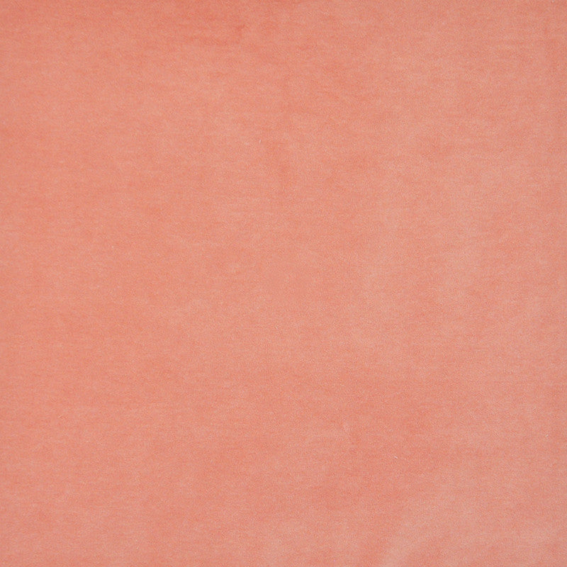 Snug # 401 Coral by Maxwell Fabric Performance Velvets-Vol.I 67.2% POLYESTER 32.8% COTTON TURKEY 55" - Fabric Carolina -