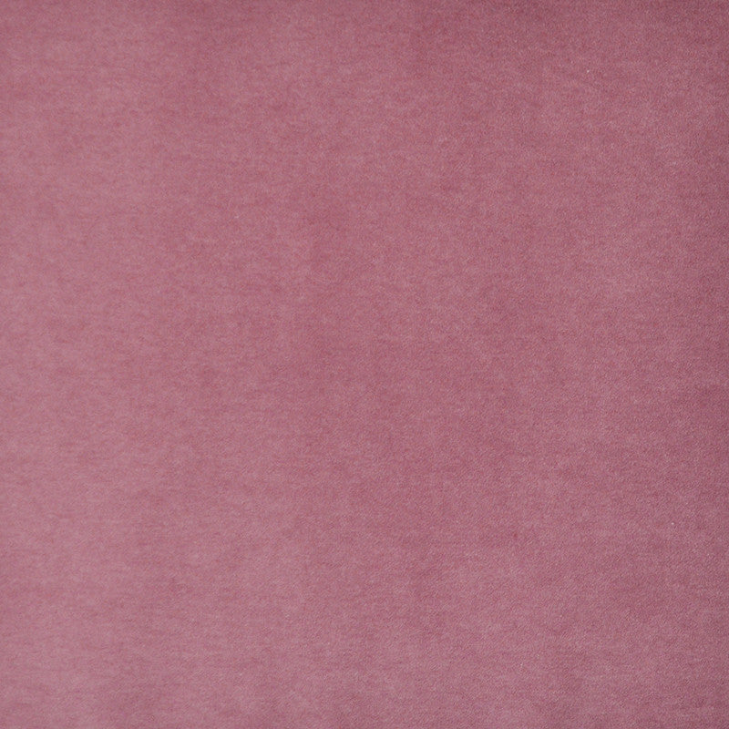 Snug # 415 Flower by Maxwell Fabric Performance Velvets-Vol.I 67.2% POLYESTER 32.8% COTTON TURKEY 55" - Fabric Carolina -