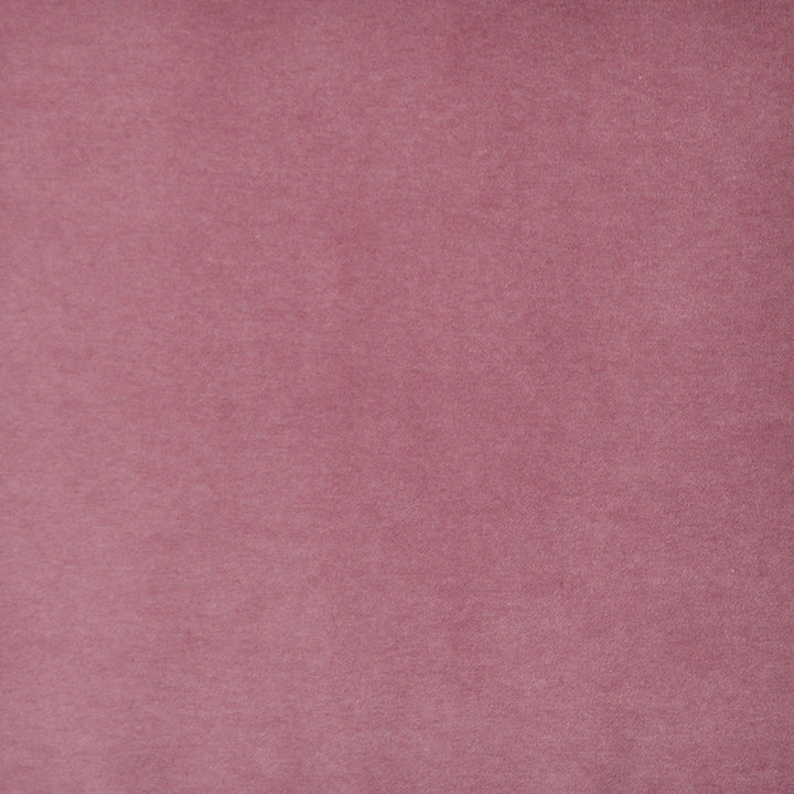 Snug # 415 Flower by Maxwell Fabric Performance Velvets-Vol.I 67.2% POLYESTER 32.8% COTTON TURKEY 55" - Fabric Carolina -