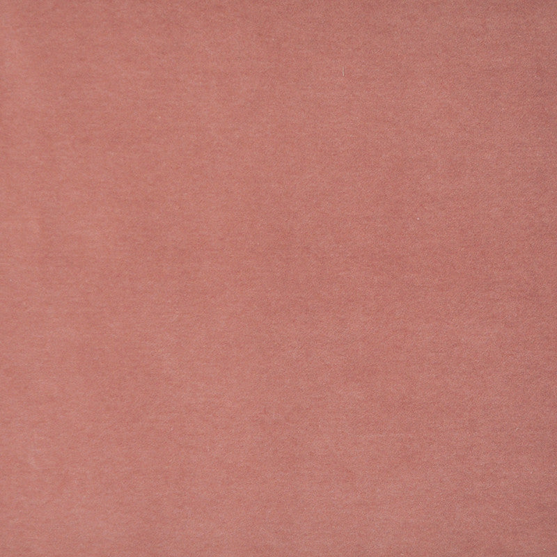 Snug # 418 Grapefruit by Maxwell Fabric Performance Velvets-Vol.I 67.2% POLYESTER 32.8% COTTON TURKEY 55" - Fabric Carolina -