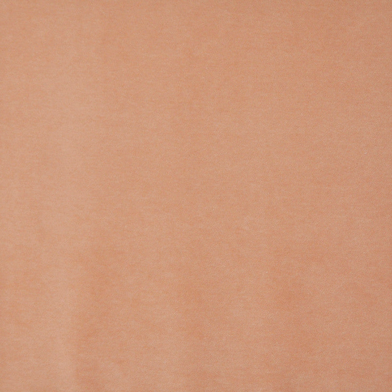 Snug # 419 Soft Orange by Maxwell Fabric Performance Velvets-Vol.I 67.2% POLYESTER 32.8% COTTON TURKEY 55" - Fabric Carolina -