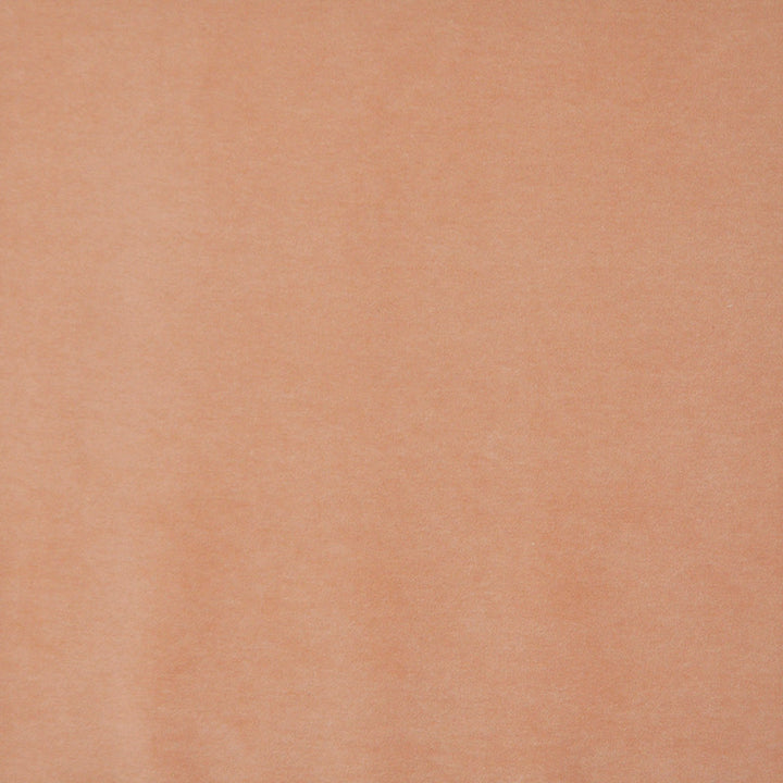 Snug # 419 Soft Orange by Maxwell Fabric Performance Velvets-Vol.I 67.2% POLYESTER 32.8% COTTON TURKEY 55" - Fabric Carolina -