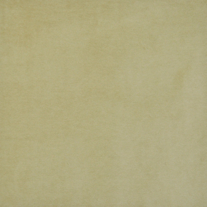 Snug # 420 Moss by Maxwell Fabric Performance Velvets-Vol.I 67.2% POLYESTER 32.8% COTTON TURKEY 55" - Fabric Carolina -