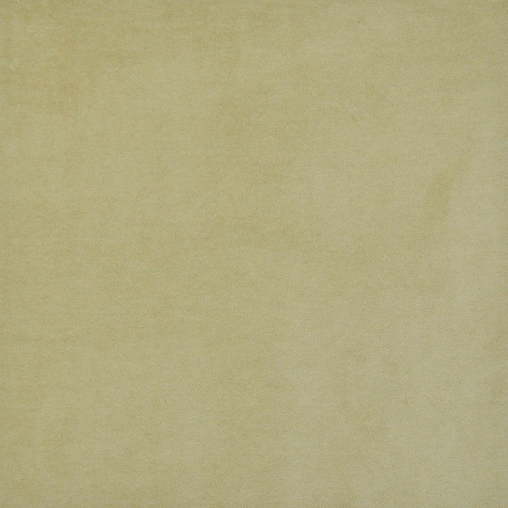 Snug # 420 Moss by Maxwell Designer Fabric Performance Velvets-Vol.I 67.2% POLYESTER 32.8% COTTON TURKEY 55" - Swanky Fabrics -