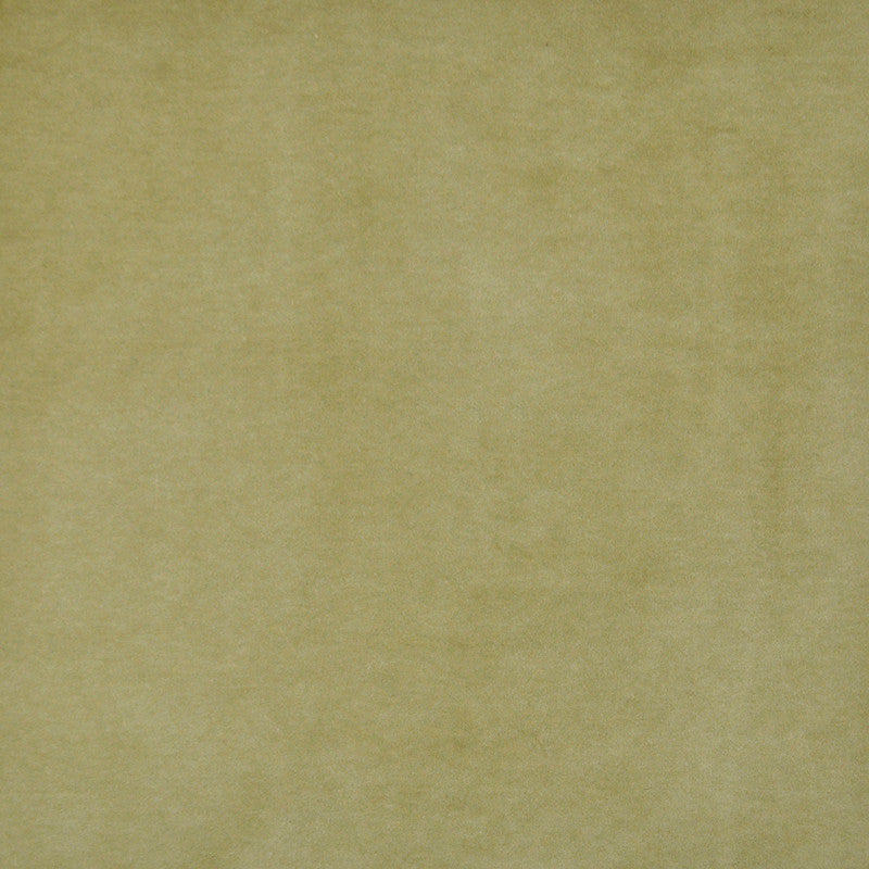 Snug # 421 Olive by Maxwell Fabric Performance Velvets-Vol.I 67.2% POLYESTER 32.8% COTTON TURKEY 55" - Fabric Carolina -