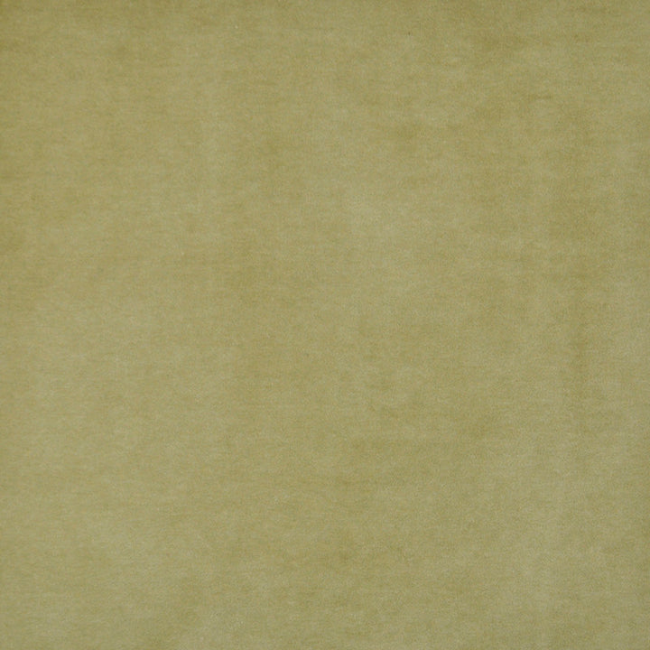 Snug # 421 Olive by Maxwell Fabric Performance Velvets-Vol.I 67.2% POLYESTER 32.8% COTTON TURKEY 55" - Fabric Carolina -