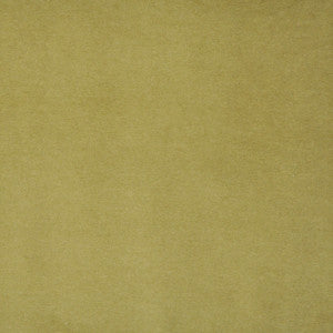 Snug # 422 Pistachio by Maxwell Fabric