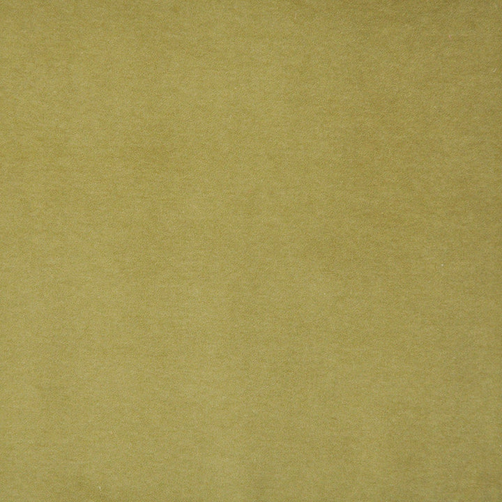 Snug # 422 Pistachio by Maxwell Designer Fabric Performance Velvets-Vol.I 67.2% POLYESTER 32.8% COTTON TURKEY 55" - Swanky Fabrics -