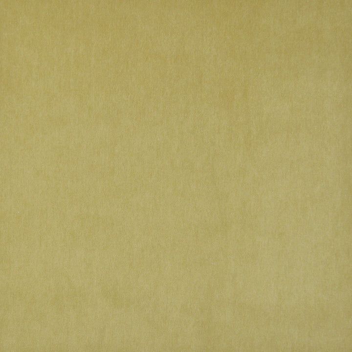 Snug # 423 Pear by Maxwell Fabric PERFORMANCE VELVETS-VOL.I 67.2% POLYESTER 32.8% COTTON TURKEY </p><p>Repeat: Horizontal: and Vertical: 55" - Fabric Carolina -