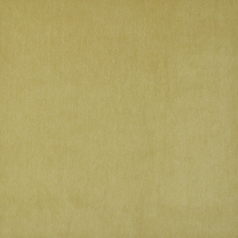 Snug # 423 Pear by Maxwell Fabric PERFORMANCE VELVETS-VOL.I 67.2% POLYESTER 32.8% COTTON TURKEY See sample </p><p>Repeat: Horizontal: and Vertical: 55" - Fabric Carolina -