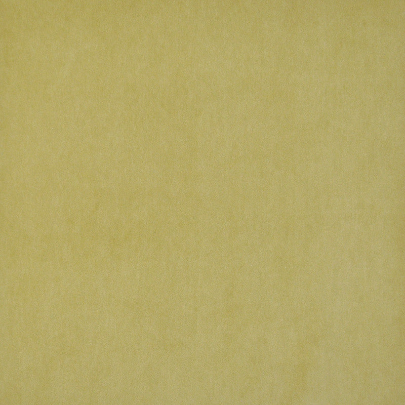 Snug # 424 Citron by Maxwell Fabric Performance Velvets-Vol.I 67.2% POLYESTER 32.8% COTTON TURKEY 55" - Fabric Carolina -