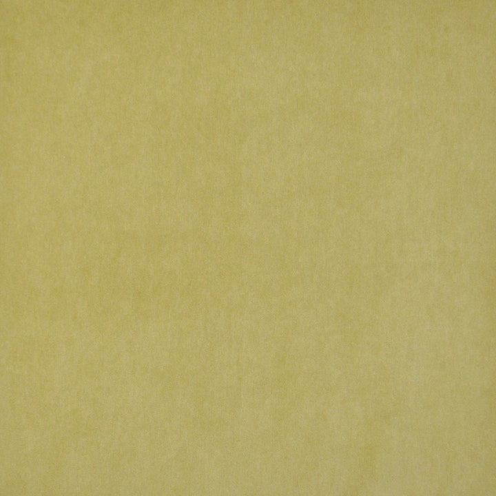 Snug # 424 Citron by Maxwell Fabric Performance Velvets-Vol.I 67.2% POLYESTER 32.8% COTTON TURKEY 55" - Fabric Carolina -