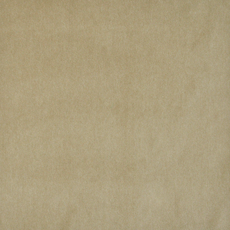 Snug # 428 Fawn by Maxwell Fabric Performance Velvets-Vol.I 67.2% POLYESTER 32.8% COTTON TURKEY 55" - Fabric Carolina -