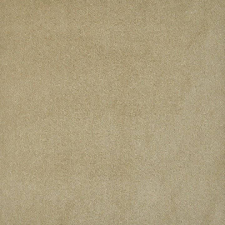 Snug # 428 Fawn by Maxwell Fabric Performance Velvets-Vol.I 67.2% POLYESTER 32.8% COTTON TURKEY 55" - Fabric Carolina -