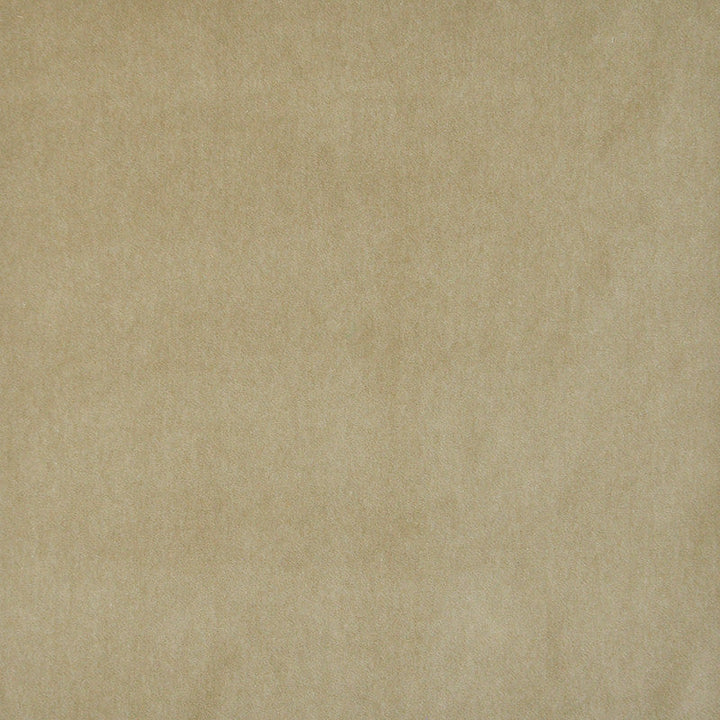 Snug # 428 Fawn by Maxwell Designer Fabric Performance Velvets-Vol.I 67.2% POLYESTER 32.8% COTTON TURKEY 55" - Swanky Fabrics -