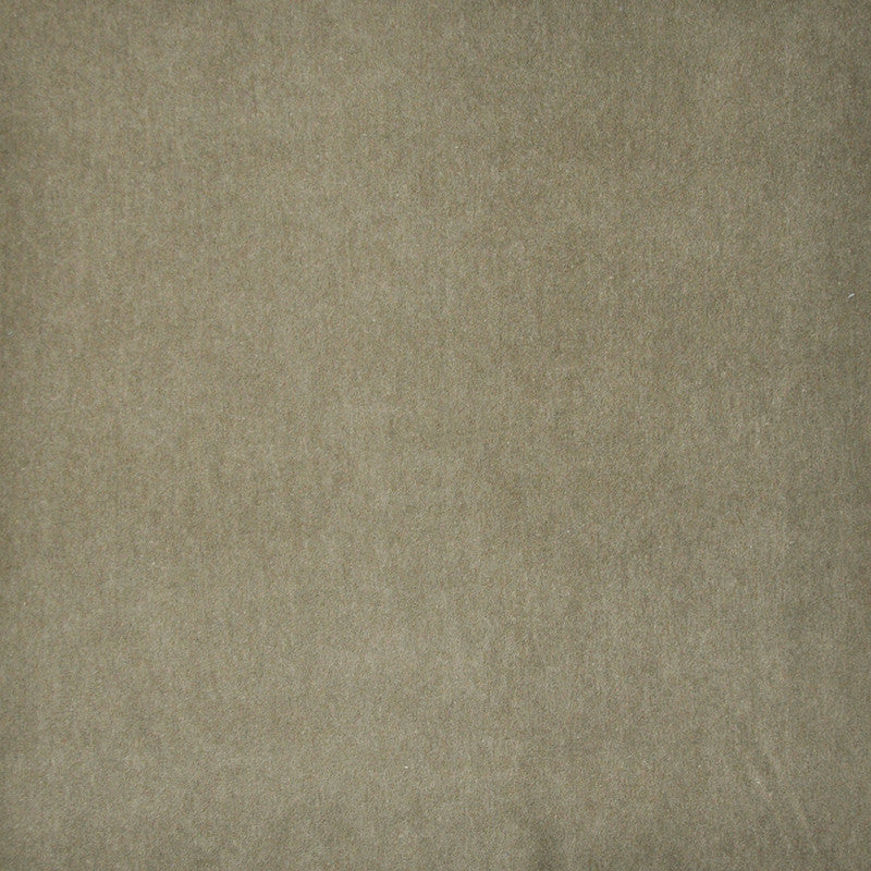 Snug # 429 Bark by Maxwell Fabric Performance Velvets-Vol.I 67.2% POLYESTER 32.8% COTTON TURKEY 55" - Fabric Carolina -
