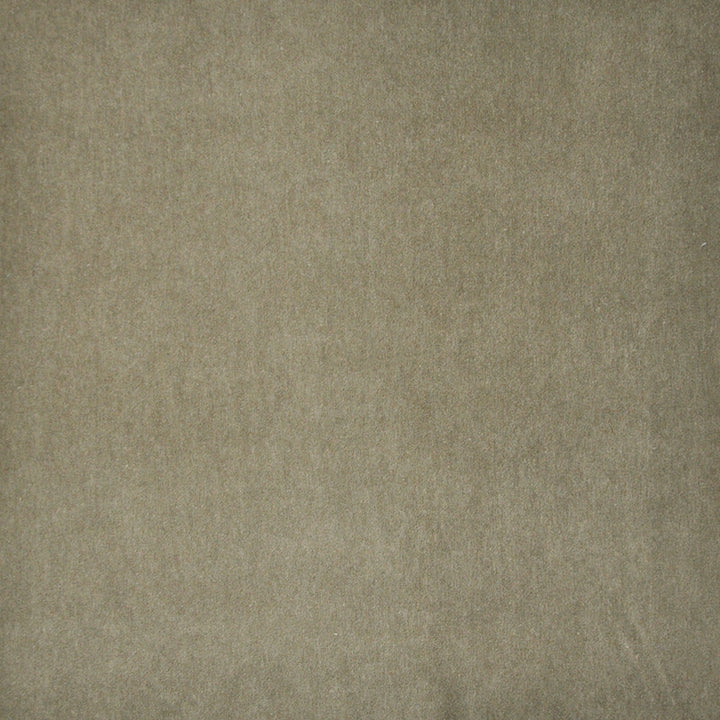 Snug # 429 Bark by Maxwell Fabric Performance Velvets-Vol.I 67.2% POLYESTER 32.8% COTTON TURKEY 55" - Fabric Carolina -