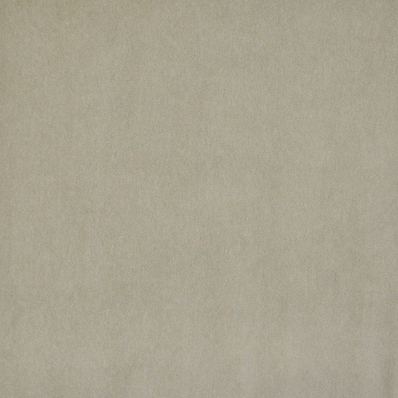 Snug # 430 Chamois by Maxwell Fabric Performance Velvets-Vol.I 67.2% POLYESTER 32.8% COTTON TURKEY 55" - Fabric Carolina -