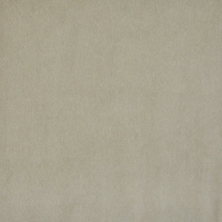 Snug # 430 Chamois by Maxwell Fabric Performance Velvets-Vol.I 67.2% POLYESTER 32.8% COTTON TURKEY 55" - Fabric Carolina -