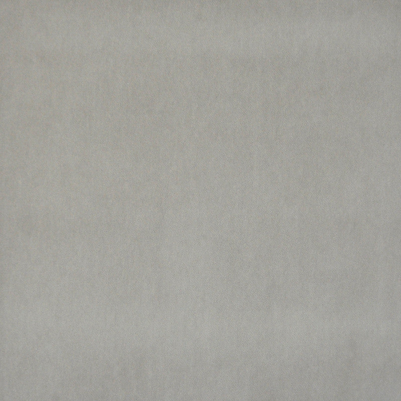 Snug # 431 Dove by Maxwell Fabric Performance Velvets-Vol.I 67.2% POLYESTER 32.8% COTTON TURKEY 55" - Fabric Carolina -