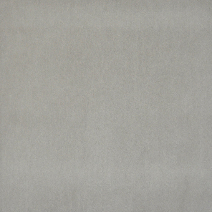 Snug # 431 Dove by Maxwell Fabric Performance Velvets-Vol.I 67.2% POLYESTER 32.8% COTTON TURKEY 55" - Fabric Carolina -