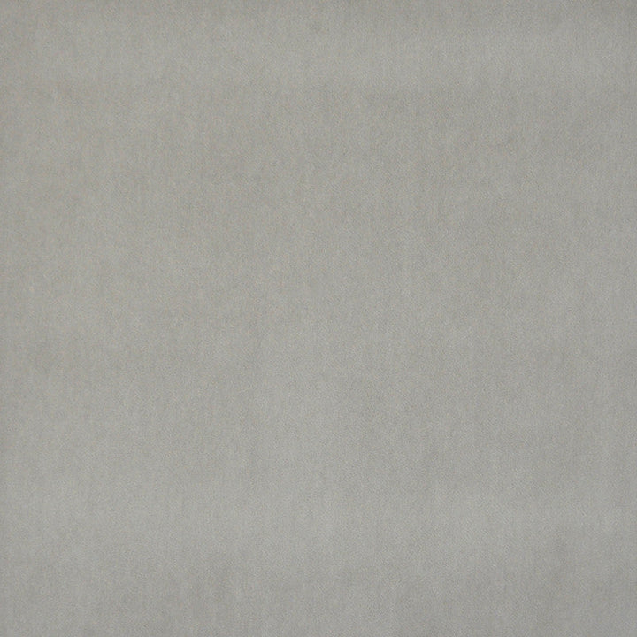 Snug # 431 Dove by Maxwell Designer Fabric Performance Velvets-Vol.I 67.2% POLYESTER 32.8% COTTON TURKEY 55" - Swanky Fabrics -