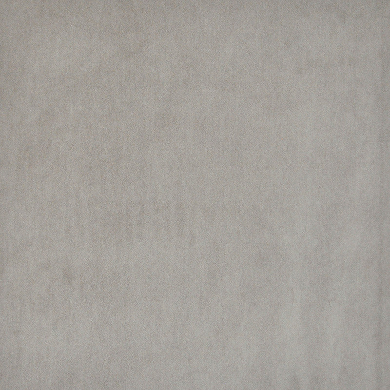 Snug # 433 Rabbit by Maxwell Fabric Performance Velvets-Vol.I 67.2% POLYESTER 32.8% COTTON TURKEY 55" - Fabric Carolina -