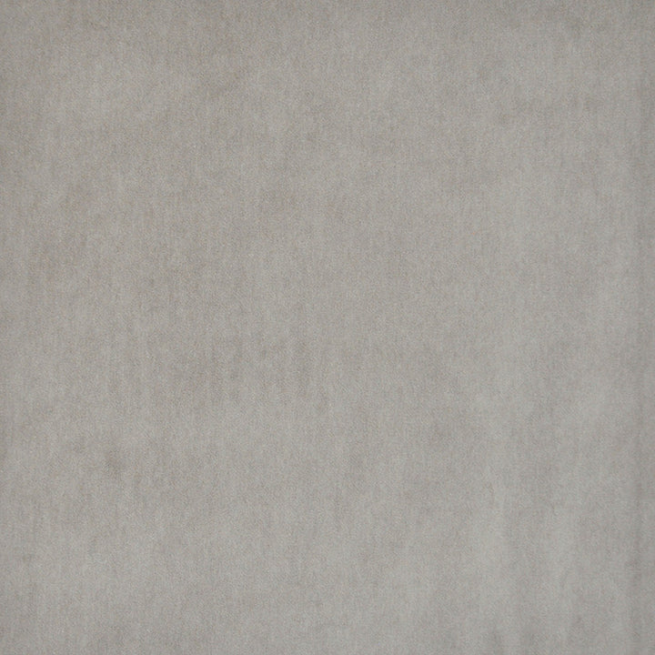 Snug # 433 Rabbit by Maxwell Fabric Performance Velvets-Vol.I 67.2% POLYESTER 32.8% COTTON TURKEY 55" - Fabric Carolina -