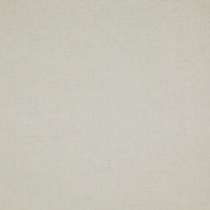 Silken 31J8541 by JF Designer Fabric Silken Fibreguard 100% Polyester China 200000 Horizontal: and Vertical: 55 - Swanky Fabrics -