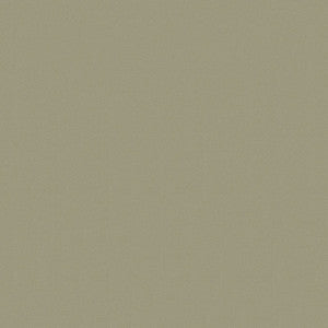 Silvertex 8818 Sage by Spradling Fabric