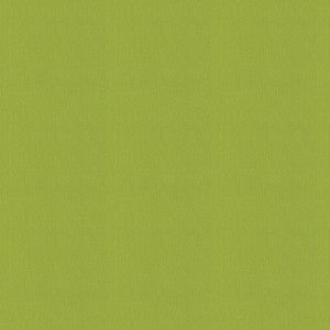 Silvertex 8834 Acid by Spradling Fabric