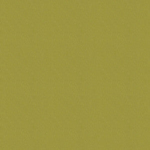 Silvertex 8841 Zest by Spradling Fabric