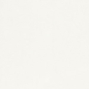 Silky Smooth # 10 Snow by Maxwell Fabric