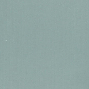 Silky Smooth # 33 Mist by Maxwell Fabric