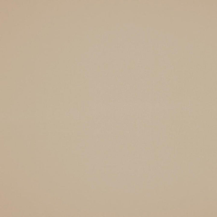 Silky Smooth # 41 Linen by Maxwell Fabric Pure & Simple Vi 100% POLYESTER TURKEY 57.5" - Fabric Carolina -