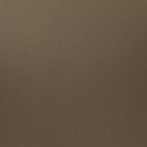 Silky Smooth # 43 Squirrel by Maxwell Fabric