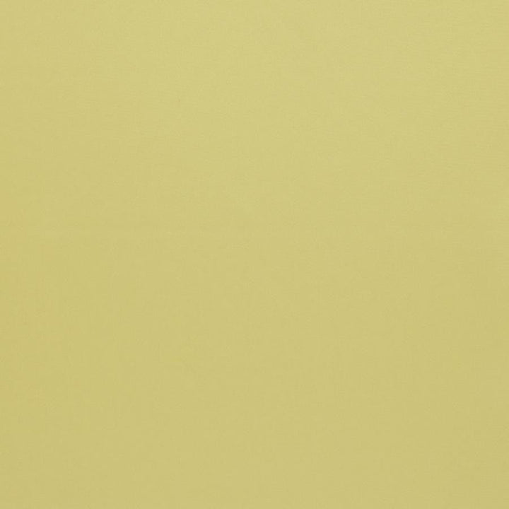 Silky Smooth # 61 Spearmint by Maxwell Designer Fabric Pure & Simple Vi 100% POLYESTER TURKEY 57.5" - Swanky Fabrics -