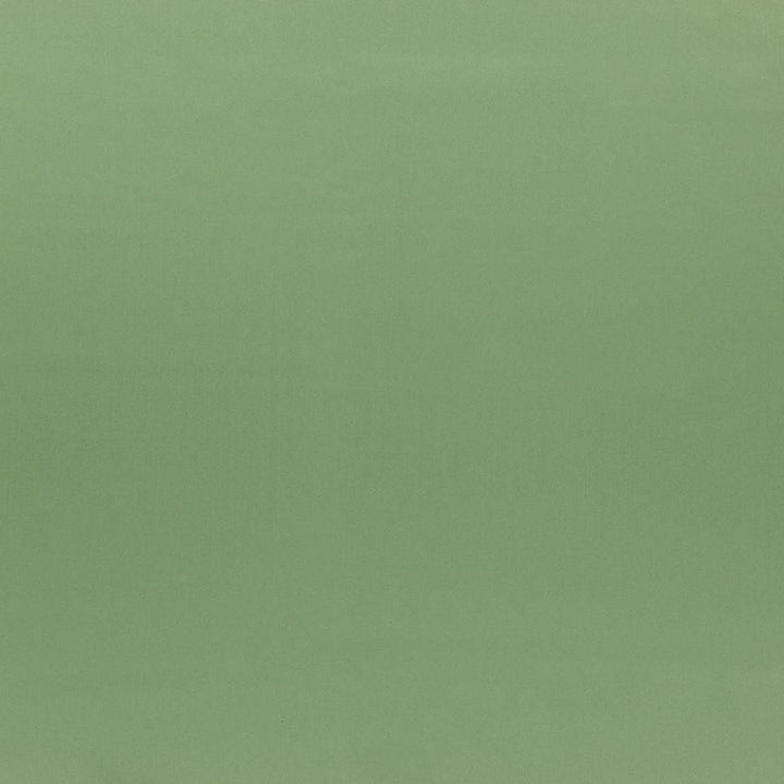 Silky Smooth # 64 Sage by Maxwell Fabric Pure & Simple Vi 100% POLYESTER TURKEY 57.5" - Fabric Carolina -