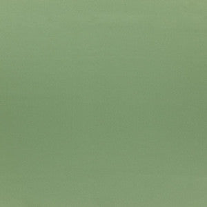 Silky Smooth # 64 Sage by Maxwell Fabric