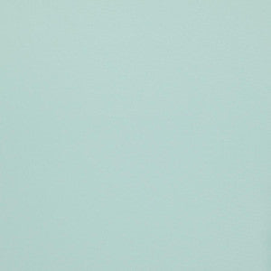Silky Smooth # 68 Foam by Maxwell Fabric