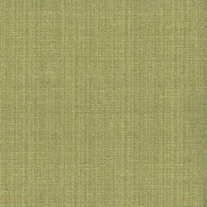 Simba Aloe by Norbar Fabric Color/GREEN-CITRUS 100% POLYESTER INDIA 50,000 WYZENBEEK 54" - Fabric Carolina -