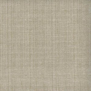 Simba Beige by Norbar Fabric See Sample 100% POLYESTER INDIA 50,000 WYZENBEEK 54" - Fabric Carolina -