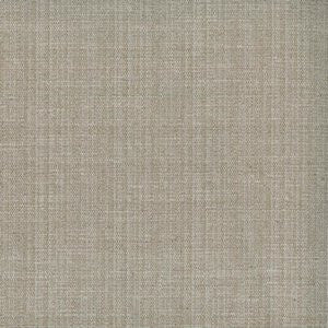 Simba Latte by Norbar Fabric See Sample 100% POLYESTER INDIA NFPA 701 </p><p>Repeat: Horizontal: and Vertical: - 54" - Fabric Carolina -