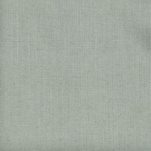 Simmons Eucalyptus by Norbar Fabric 36% COTTON 30% POLYESTER INDIA 54 - Fabric Carolina -