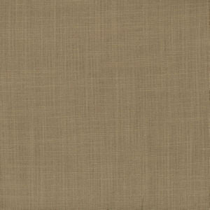 Simmons Lion by Norbar Fabric 36% COTTON 30% POLYESTER INDIA 54 - Fabric Carolina -