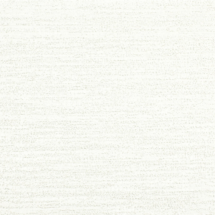 Simpson 1 Bone by Stout Fabric COLOR MY WINDOW NEUTRAL/MICA 100%POL INDIA Horizontal: 0 and Vertical: 0 54 in - Fabric Carolina -