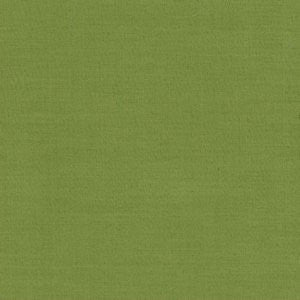 Singapore Apple by Norbar Fabric See Sample 85% POLYESTER 15% RAYON N/A 54 - Fabric Carolina -