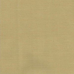 Singapore Caramel by Norbar Fabric