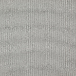 Security # 809 Quartz by Maxwell Fabric