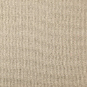 Security # 8100 Nude by Maxwell Fabric